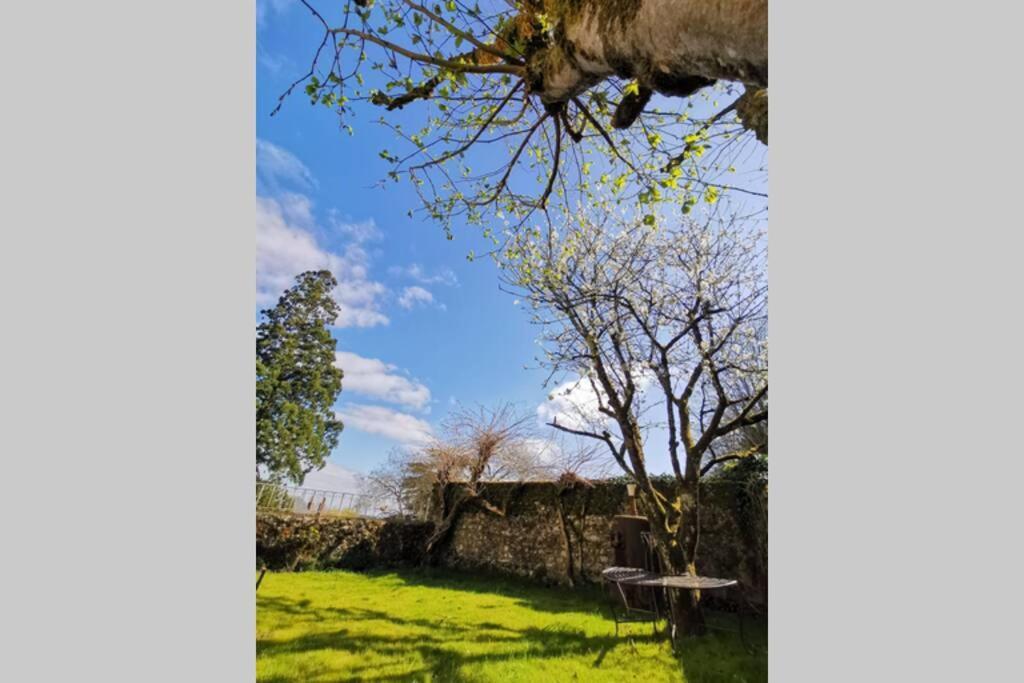 Amalouyse Chambre De Charme Au Coeur Des Chateaux De La Loire Montlouis-sur-Loire Εξωτερικό φωτογραφία